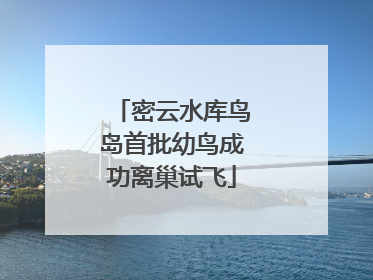 密云水库鸟岛首批幼鸟成功离巢试飞