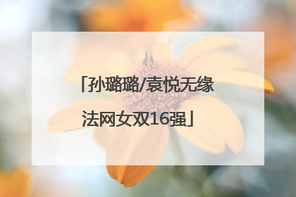 孙璐璐/袁悦无缘法网女双16强