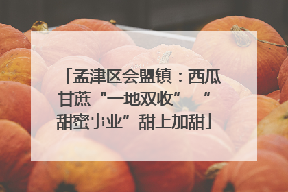 孟津区会盟镇：西瓜甘蔗“一地双收” “甜蜜事业”甜上加甜