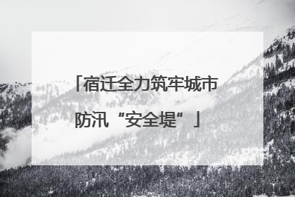 宿迁全力筑牢城市防汛“安全堤”