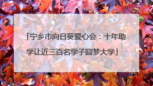 宁乡市向日葵爱心会：十年助学让近三百名学子圆梦大学