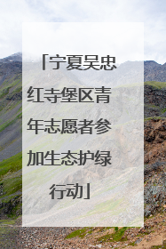 宁夏吴忠红寺堡区青年志愿者参加生态护绿行动