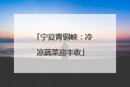 宁夏青铜峡：冷凉蔬菜迎丰收