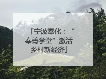 宁波奉化：“奉菁学堂”激活乡村新经济