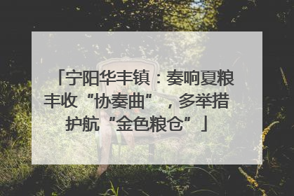 宁阳华丰镇：奏响夏粮丰收“协奏曲”，多举措护航“金色粮仓”