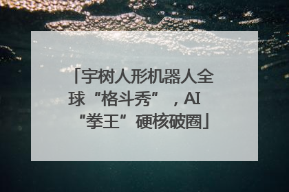 宇树人形机器人全球“格斗秀”，AI“拳王”硬核破圈