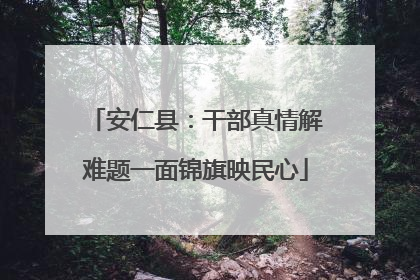 安仁县：干部真情解难题一面锦旗映民心