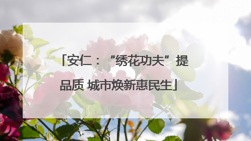 安仁：“绣花功夫”提品质 城市焕新惠民生