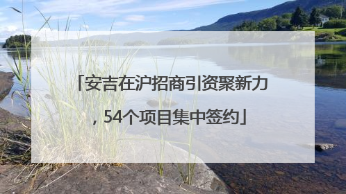 安吉在沪招商引资聚新力，54个项目集中签约