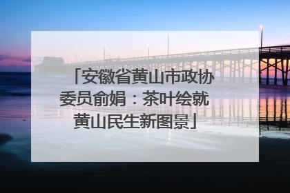 安徽省黄山市政协委员俞娟：茶叶绘就黄山民生新图景
