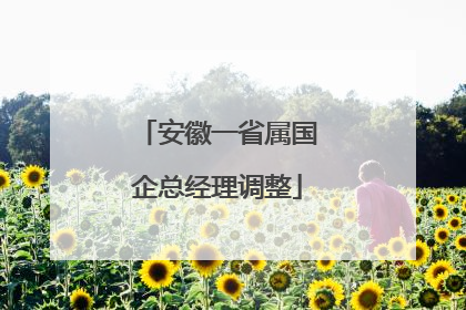 安徽一省属国企总经理调整