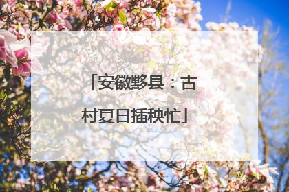 安徽黟县：古村夏日插秧忙