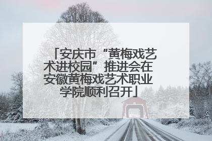 安庆市“黄梅戏艺术进校园”推进会在安徽黄梅戏艺术职业学院顺利召开