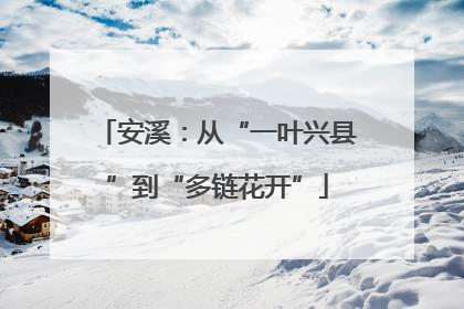安溪：从“一叶兴县”到“多链花开”