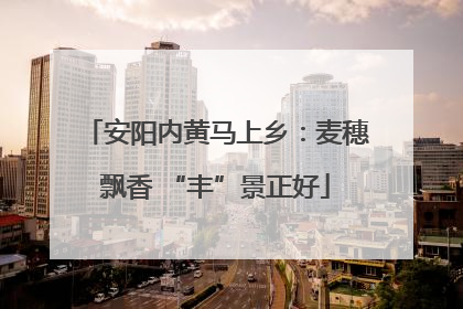 安阳内黄马上乡：麦穗飘香 “丰”景正好