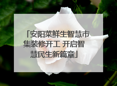 安阳菜鲜生智慧市集装修开工 开启智慧民生新篇章