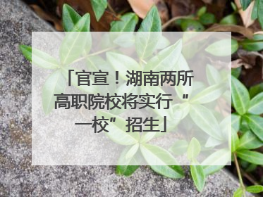 官宣！湖南两所高职院校将实行“一校”招生