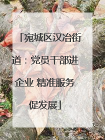 宛城区汉冶街道：党员干部进企业 精准服务促发展