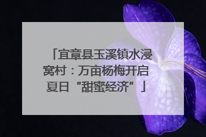 宜章县玉溪镇水浸窝村：万亩杨梅开启夏日“甜蜜经济”