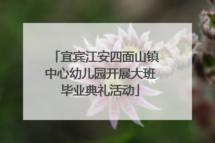 宜宾江安四面山镇中心幼儿园开展大班毕业典礼活动
