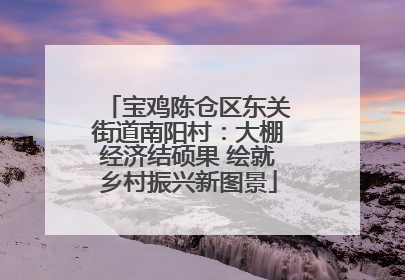 宝鸡陈仓区东关街道南阳村：大棚经济结硕果 绘就乡村振兴新图景