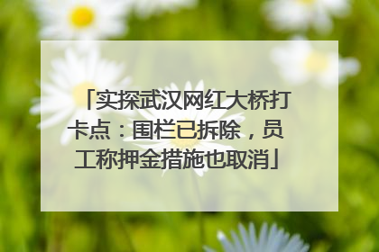 实探武汉网红大桥打卡点：围栏已拆除，员工称押金措施也取消