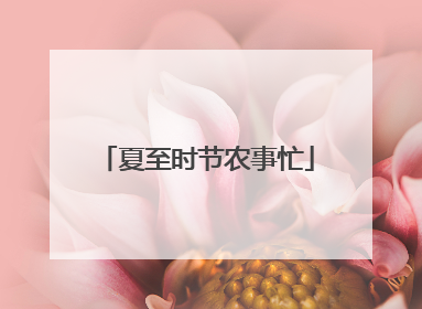 夏至时节农事忙