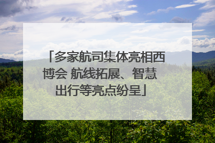 多家航司集体亮相西博会 航线拓展、智慧出行等亮点纷呈