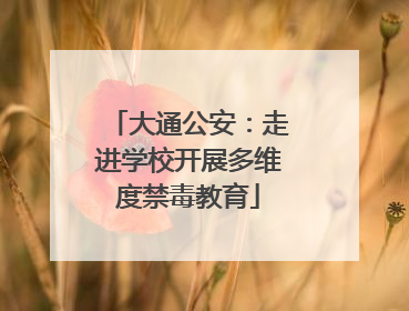 大通公安：走进学校开展多维度禁毒教育