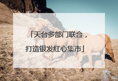 天台多部门联合，打造银发红心集市