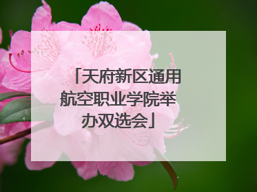 天府新区通用航空职业学院举办双选会