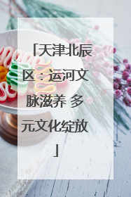 天津北辰区：运河文脉滋养 多元文化绽放