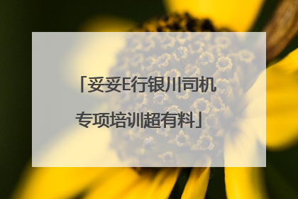 妥妥E行银川司机专项培训超有料