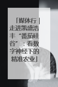 媒体行｜走进凯盛浩丰“番茄硅谷”：看数字神经下的精准农业