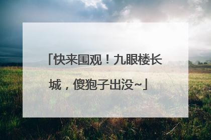 快来围观！九眼楼长城，傻狍子出没~