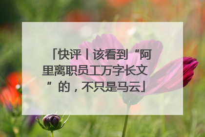 快评丨该看到“阿里离职员工万字长文”的，不只是马云