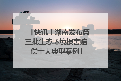 快讯丨湖南发布第三批生态环境损害赔偿十大典型案例