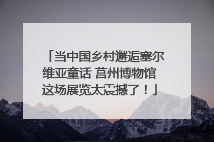 当中国乡村邂逅塞尔维亚童话 莒州博物馆这场展览太震撼了！