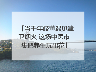 当千年岐黄遇见津卫烟火 这场中医市集把养生玩出花
