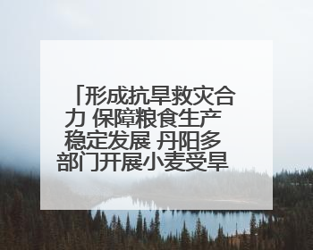 形成抗旱救灾合力 保障粮食生产稳定发展 丹阳多部门开展小麦受旱情况调研
