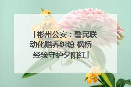 彬州公安：警民联动化赡养纠纷 枫桥经验守护夕阳红
