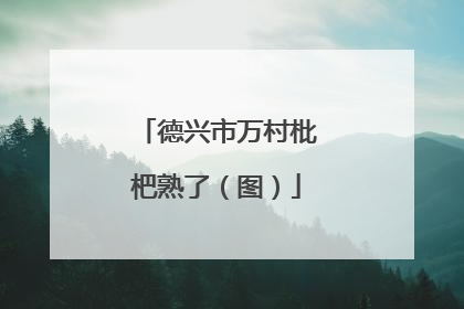德兴市万村枇杷熟了（图）
