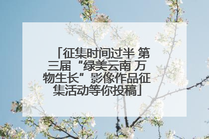 征集时间过半 第三届“绿美云南 万物生长”影像作品征集活动等你投稿