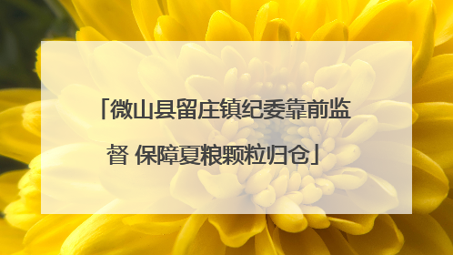 微山县留庄镇纪委靠前监督 保障夏粮颗粒归仓