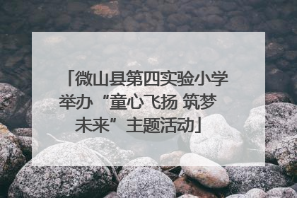 微山县第四实验小学举办“童心飞扬 筑梦未来”主题活动