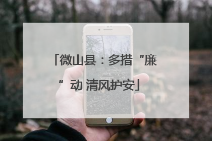 微山县：多措“廉”动 清风护安