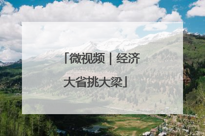 微视频｜经济大省挑大梁