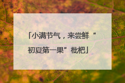 小满节气，来尝鲜“初夏第一果”枇杷