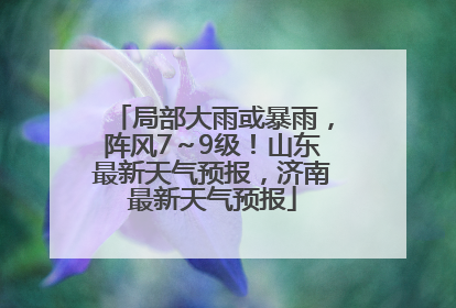 局部大雨或暴雨，阵风7～9级！山东最新天气预报，济南最新天气预报