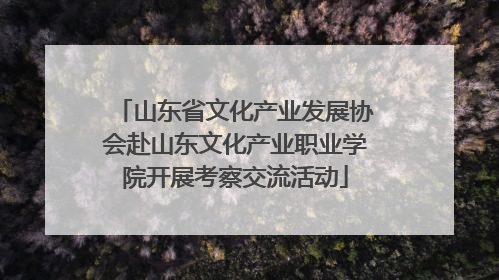 山东省文化产业发展协会赴山东文化产业职业学院开展考察交流活动